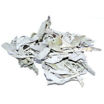 Pile of dried white mushrooms on a white background