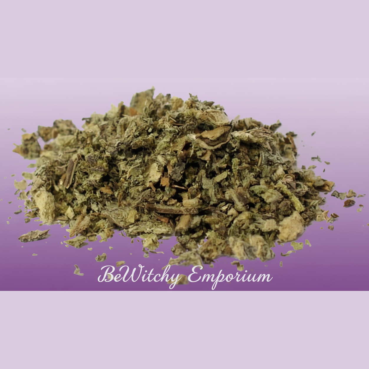 Clean Professional E-commerce Version