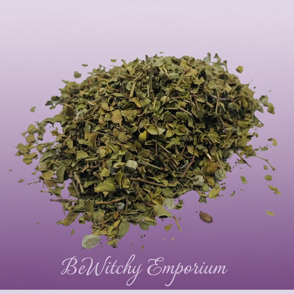 Clean Professional Version