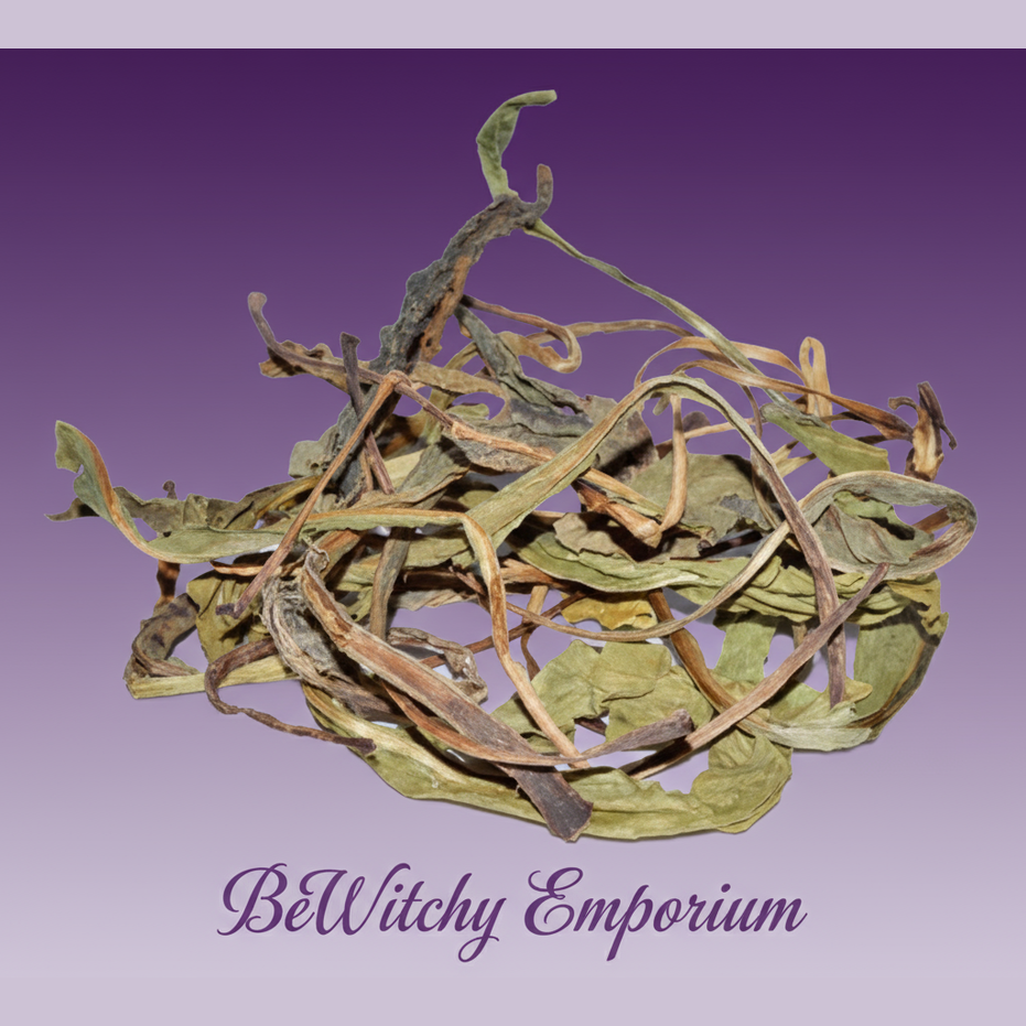 Version 1 - Clean Purple Gradient