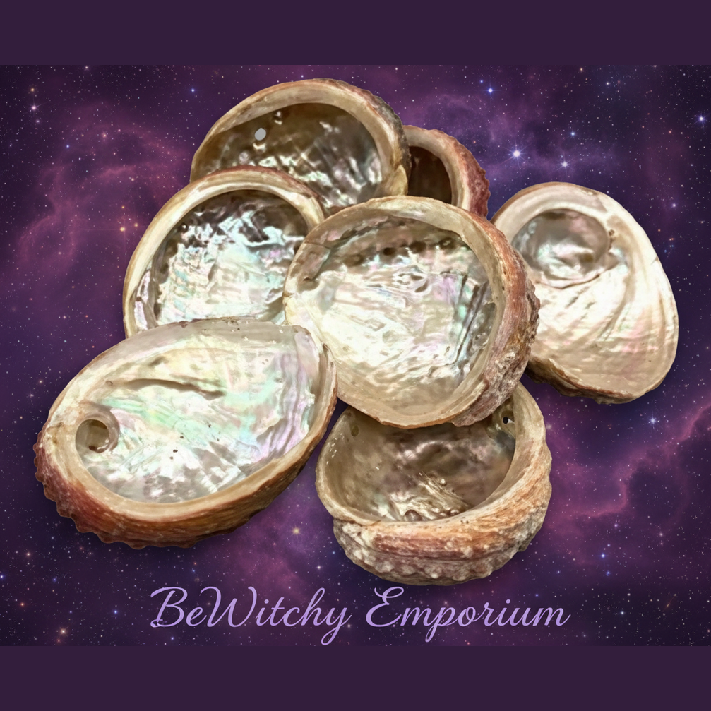 Abalone Shells - Mystical Starry Night