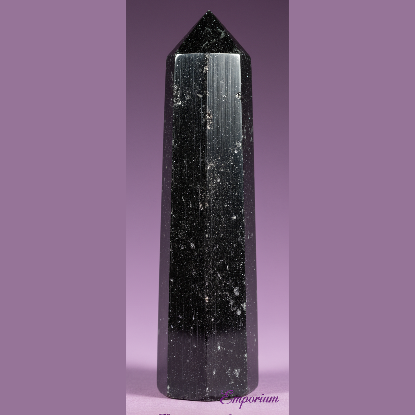 Black Tourmaline Crystal Point - Clean Professional