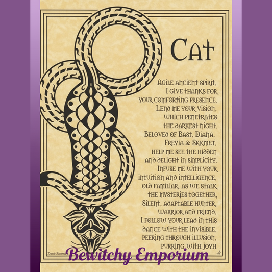 Cat Prayer Poster - Clean Professional