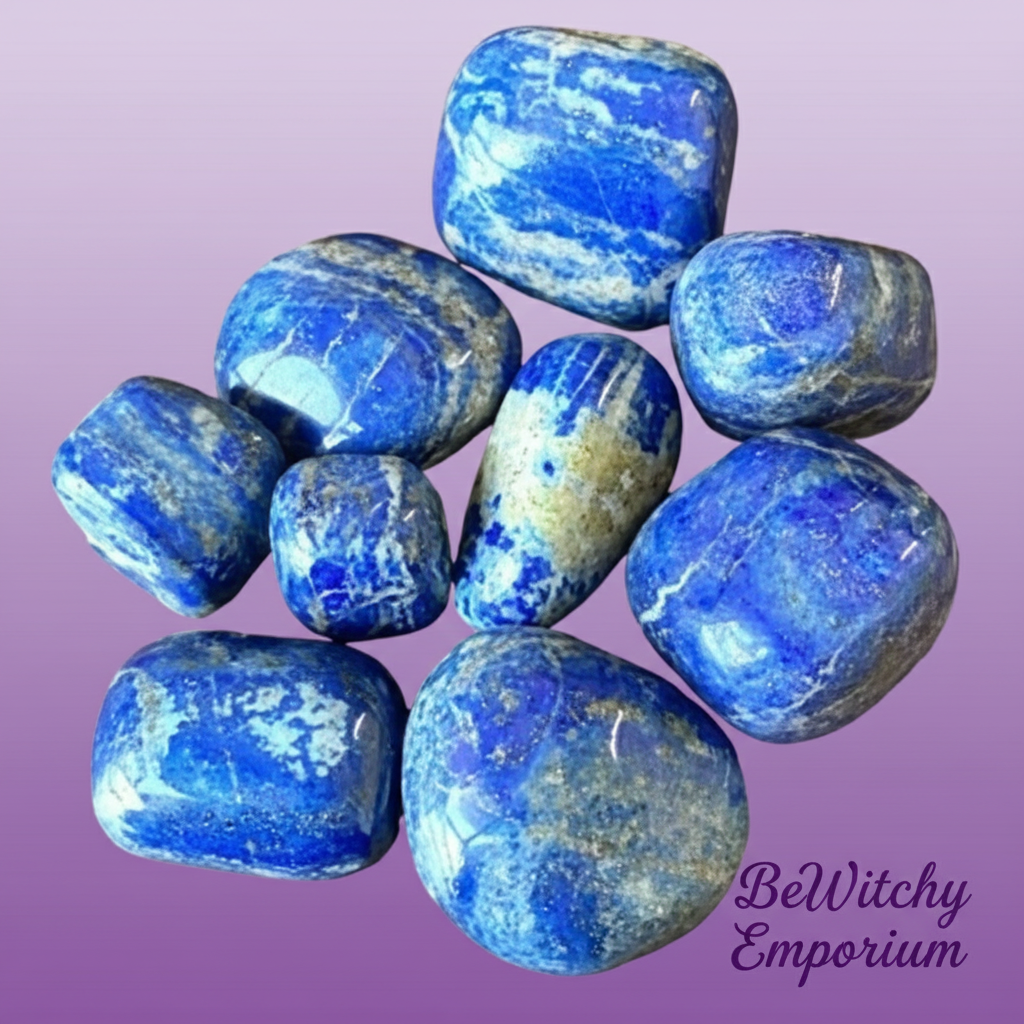 Clean Professional E-commerce Version