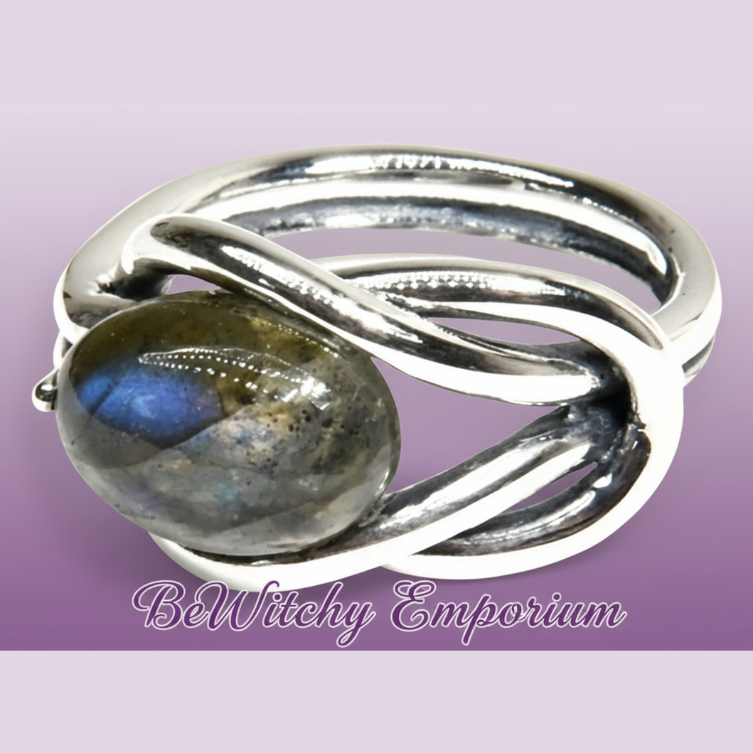 Clean Professional E-commerce Version