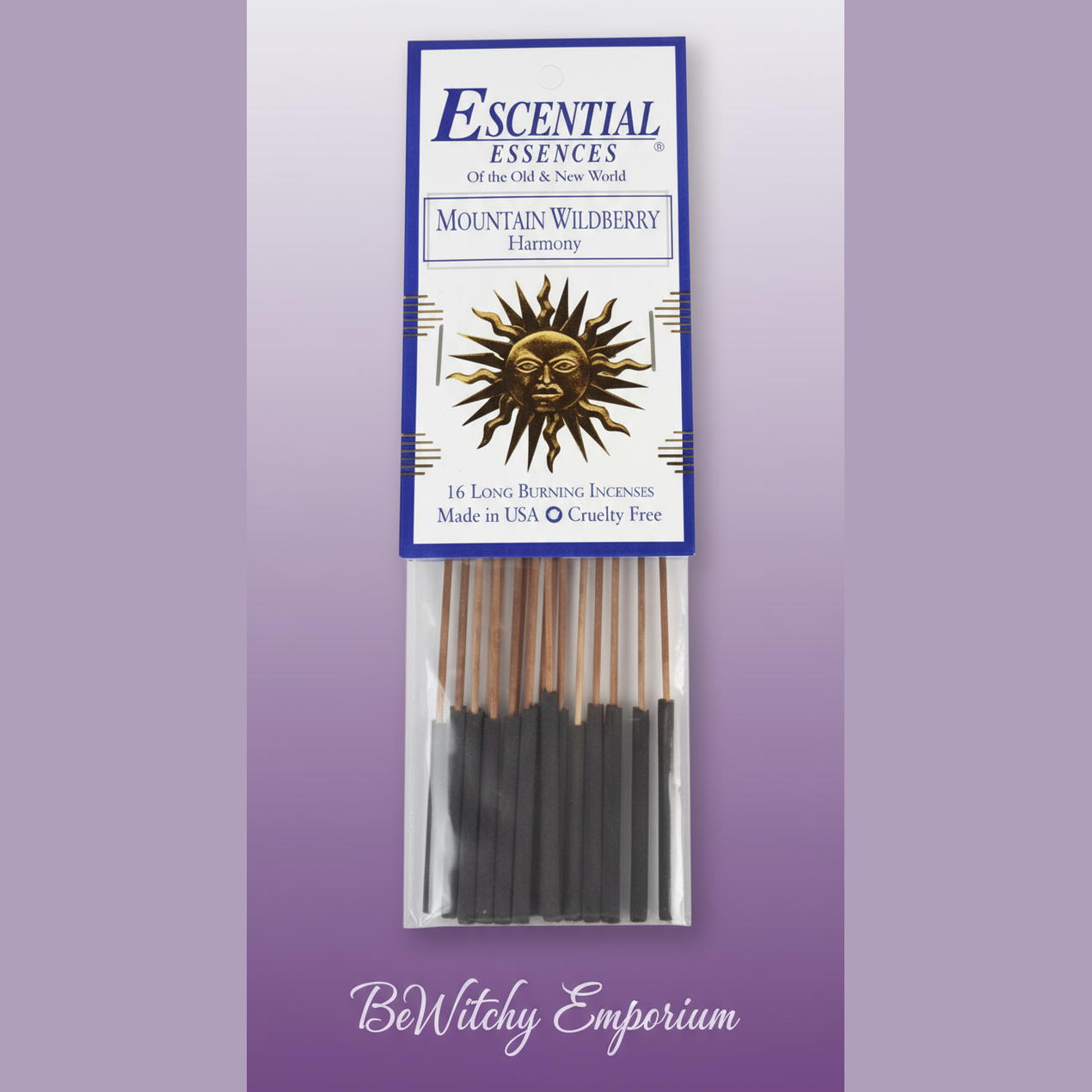 Clean Professional Version