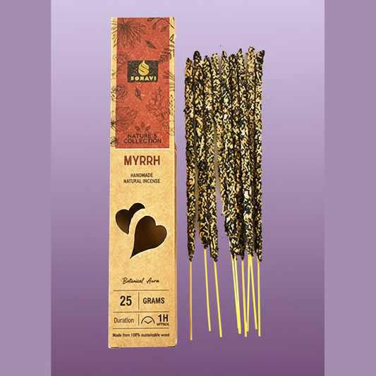 Clean Professional Version