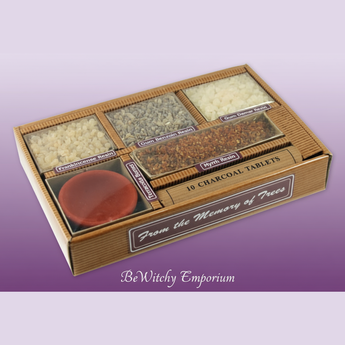 Clean Professional Version