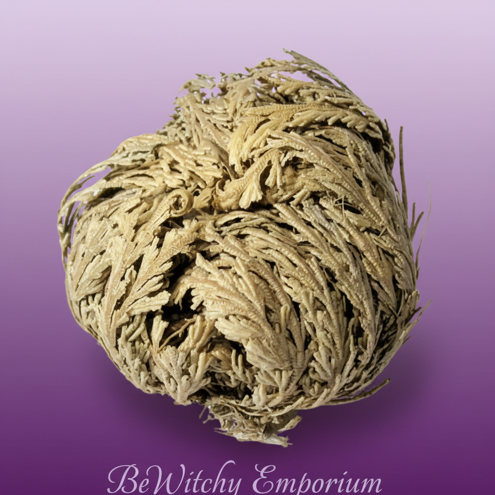 Desert Rose Crystal - Professional Style