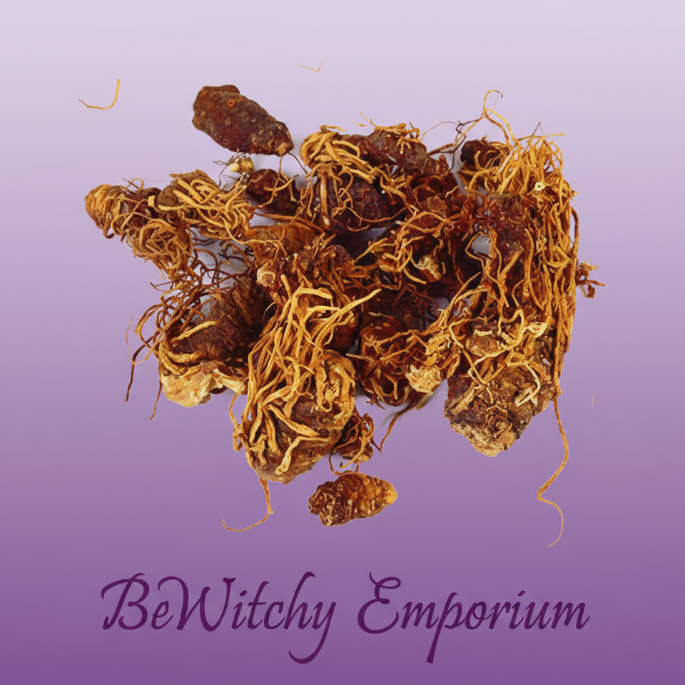 Dried Herb Roots - Clean Professional