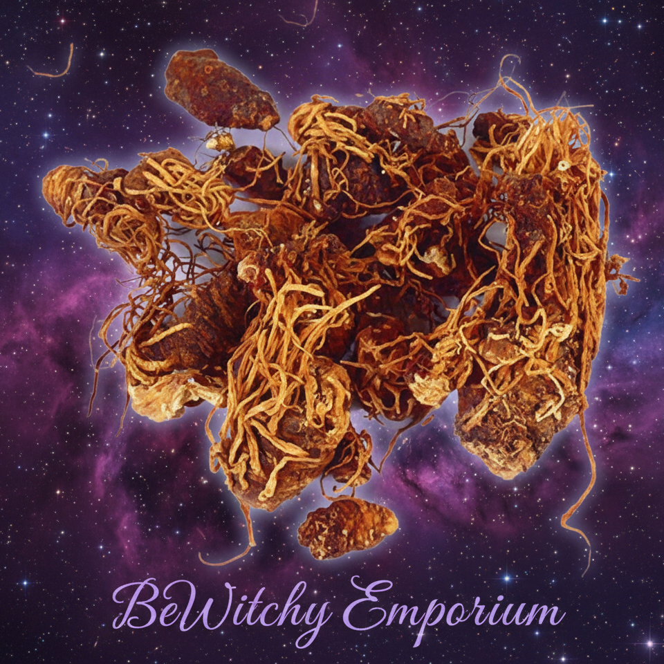 Dried Herb Roots - Mystical Starry Night