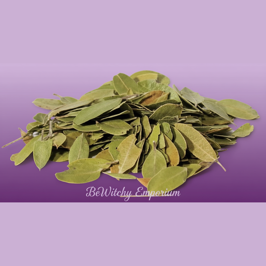 Dried Sage Leaves - Professional Style