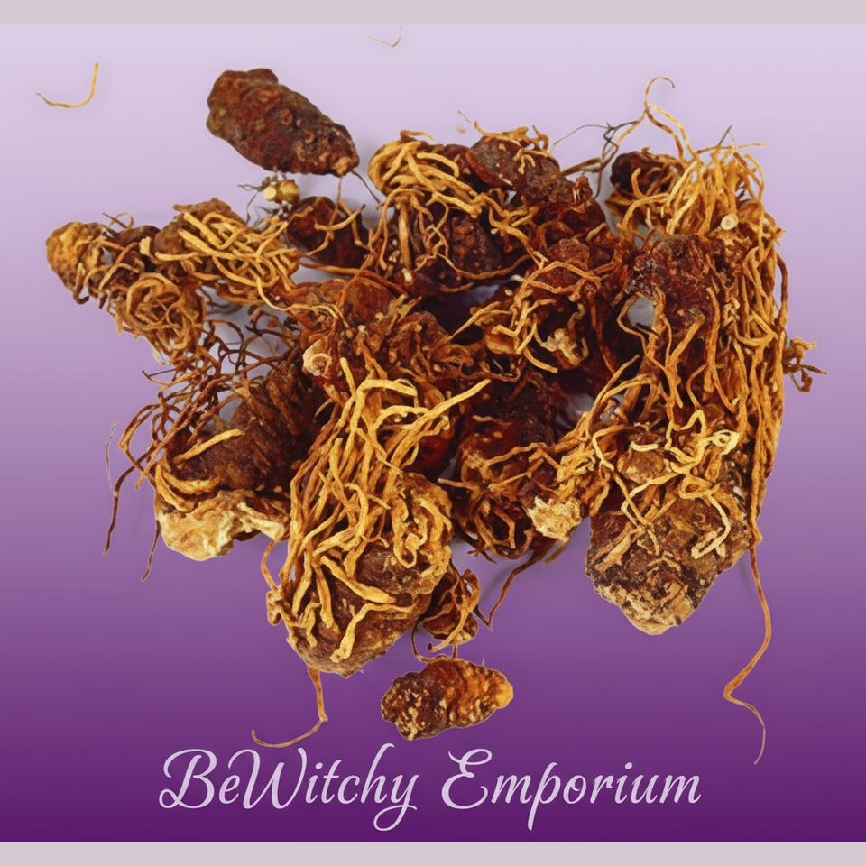 Goldenseal Root - Professional Style