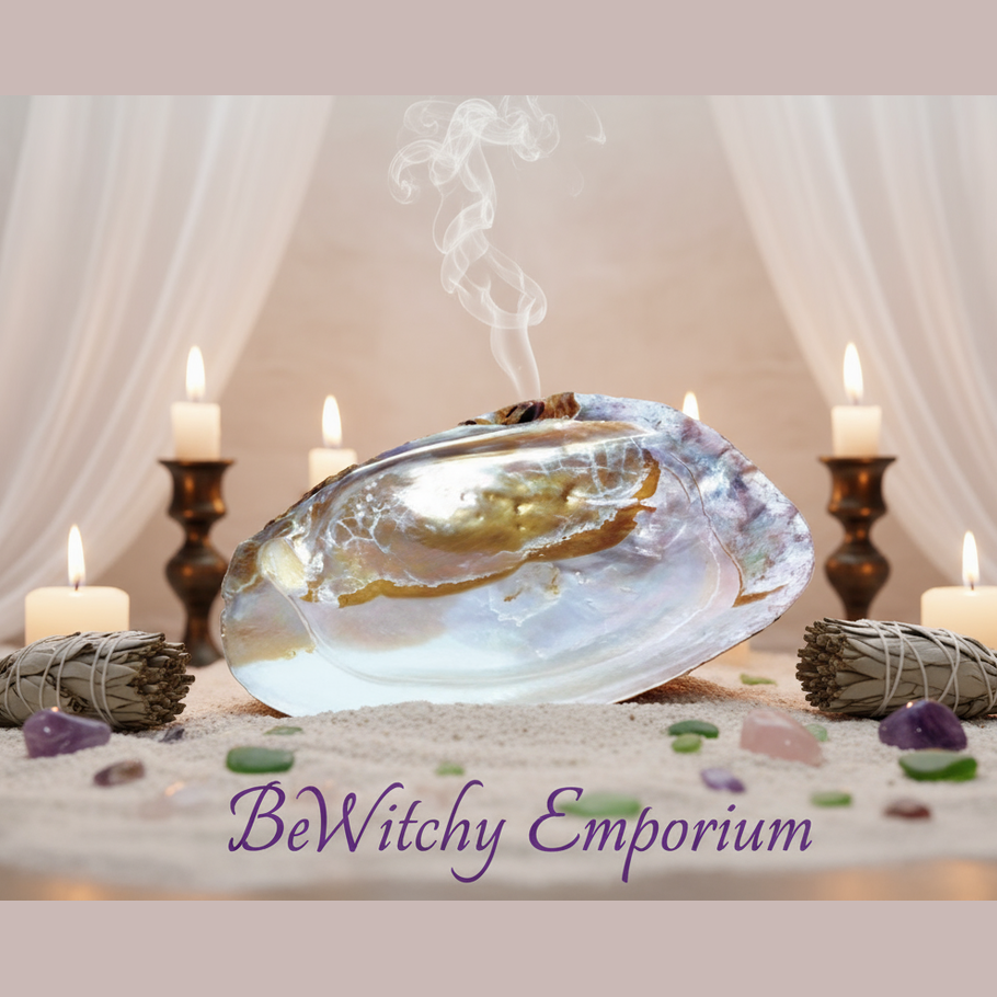 Large Abalone Shell - Luxurious Sanctuary