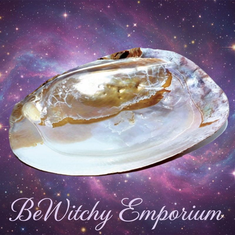 Large Abalone Shell - Mystical Starry Night