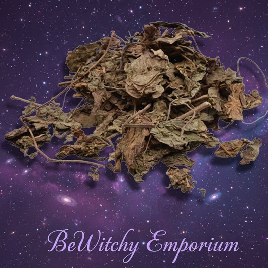 Mystical Starry Night Dried Bark