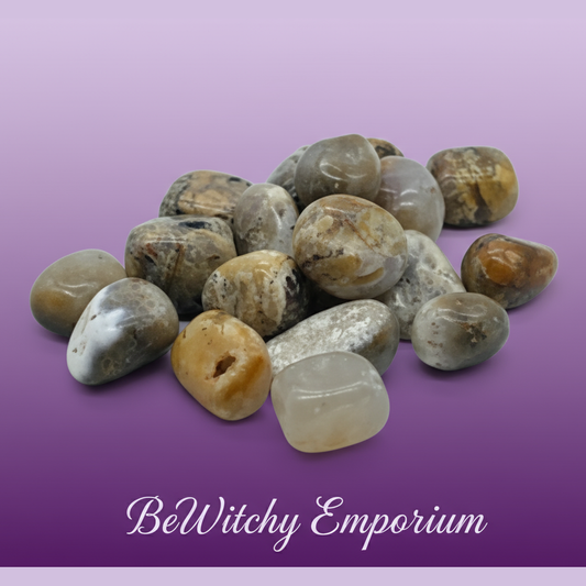 Petoskey Stone Tumbled Pieces - Professional Style