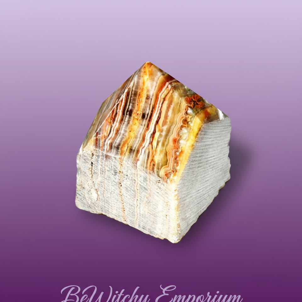 Petrified Wood Specimen - Professional Style