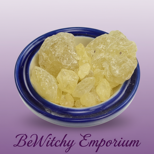 Professional E-commerce Resin on Blue Plate