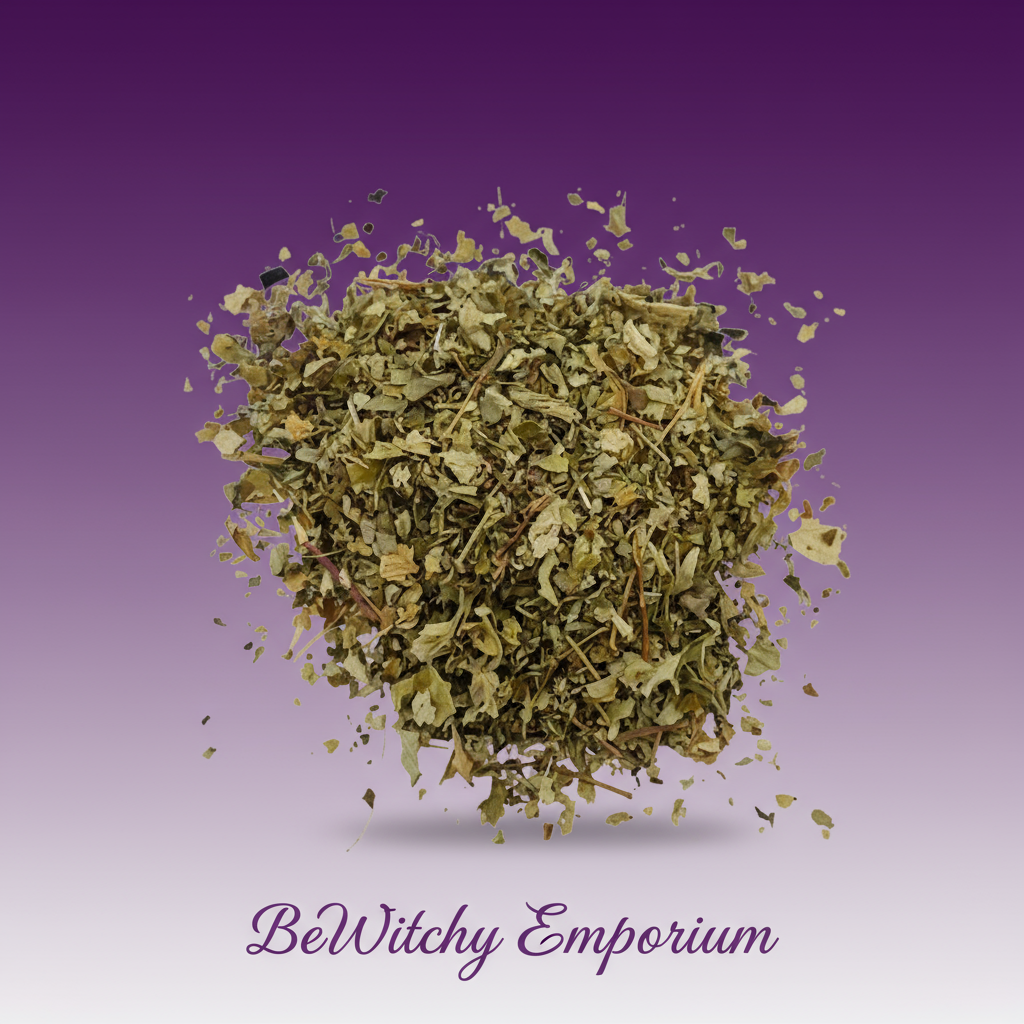 Version 1 - Clean Purple Gradient