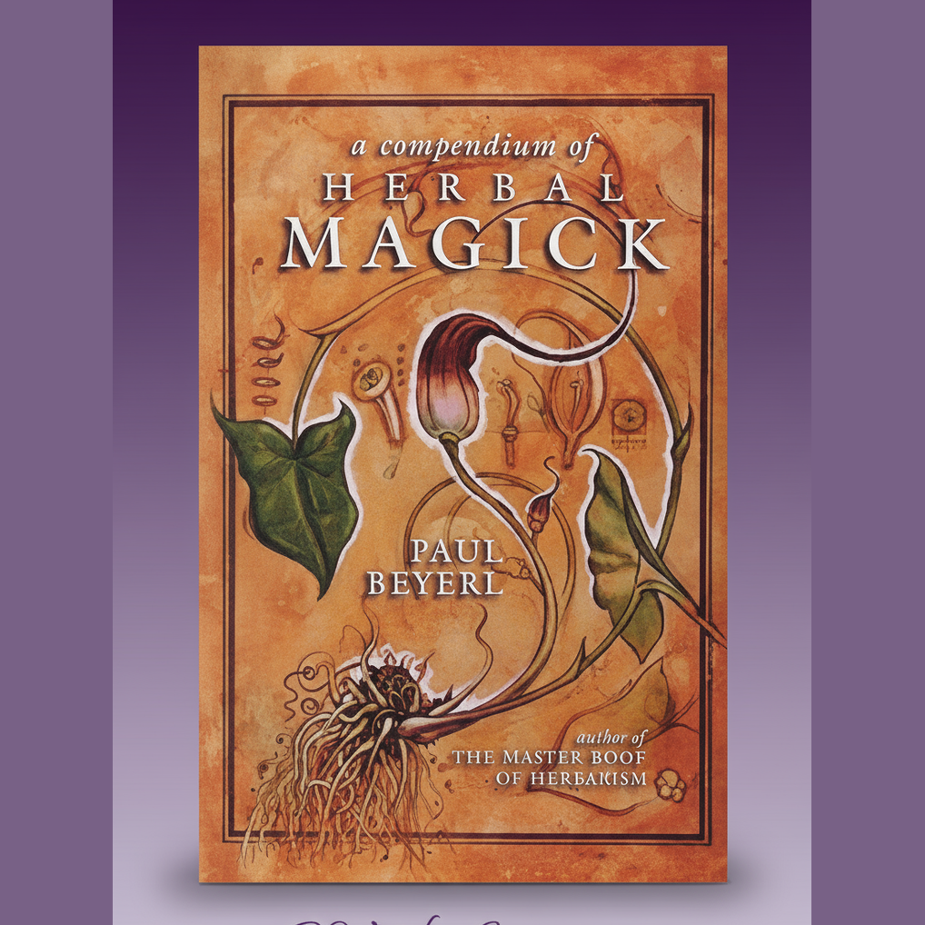 Version 1 - Clean Purple Gradient